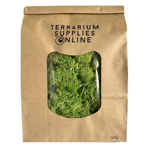 100g Preserved Reindeer Moss